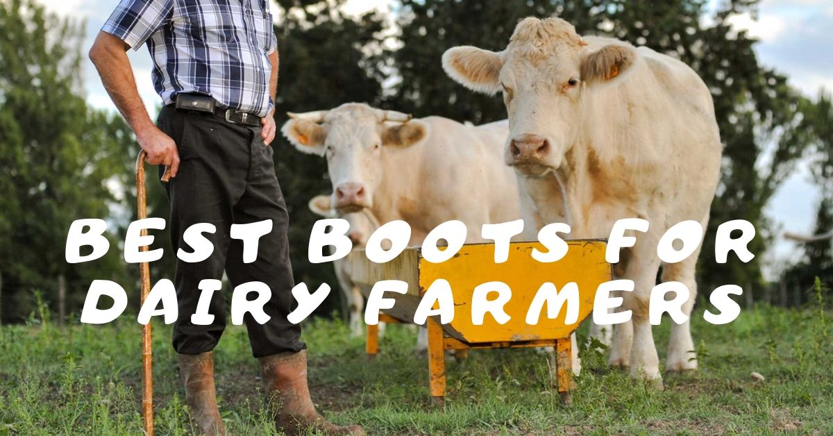 best-boots-for-dairy-farmers